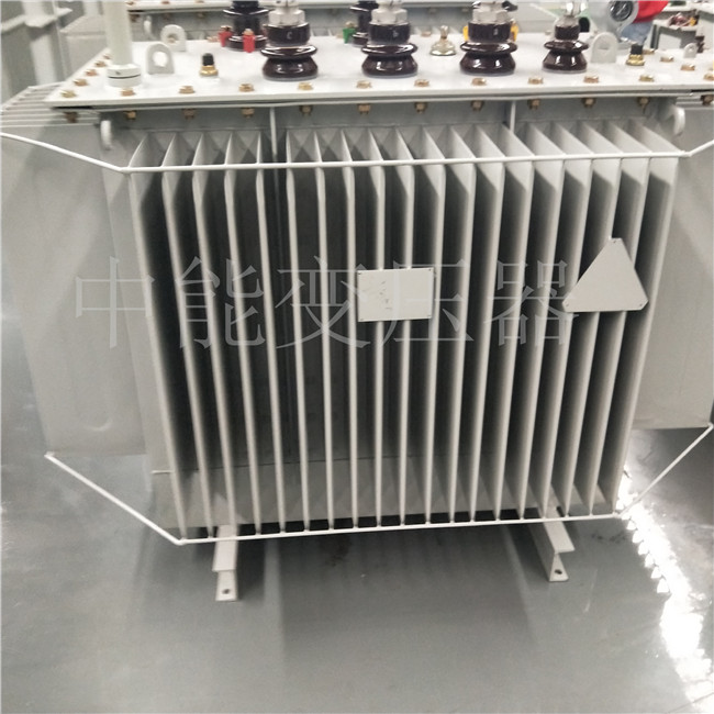 泸州S20-800KVA变压器