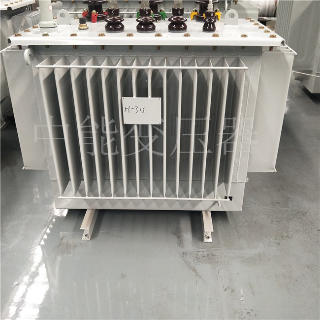 泸州S20-1250KVA/10KV变压器