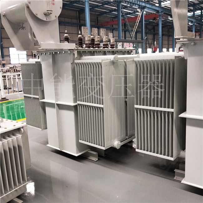 泸州S13-800KVA/6KV/0.4KV变压器