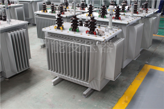 泸州S22-100KVA/10KV/0.4KV变压器